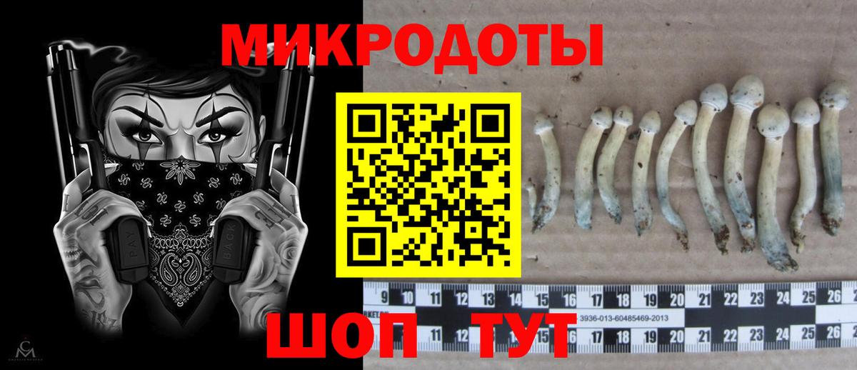 Галлюциногенные грибы ЛСД  Вход с VPN  Качканар 